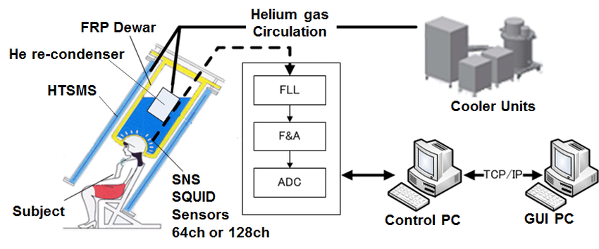 MEG Figure 3