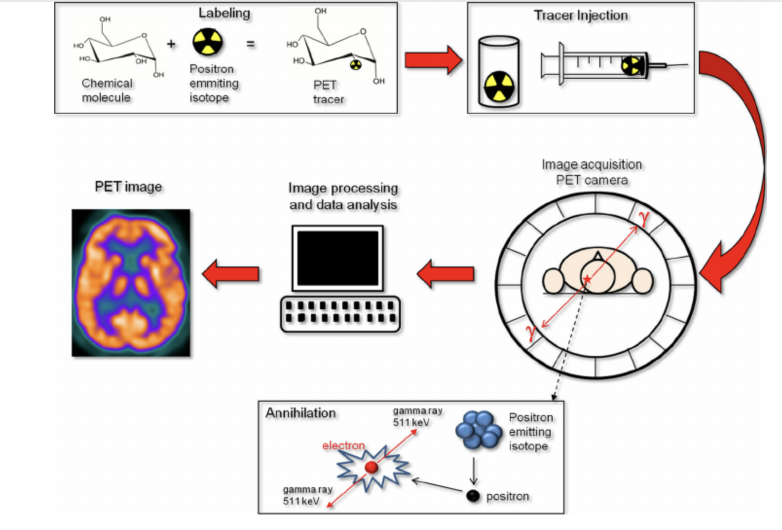 PET scanning process